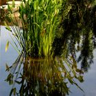 Le bouquet vert