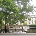 le bouquiniste et son fidèle client quai des Célestins Paris IV arr