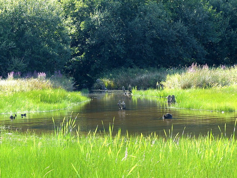 le bout du lac