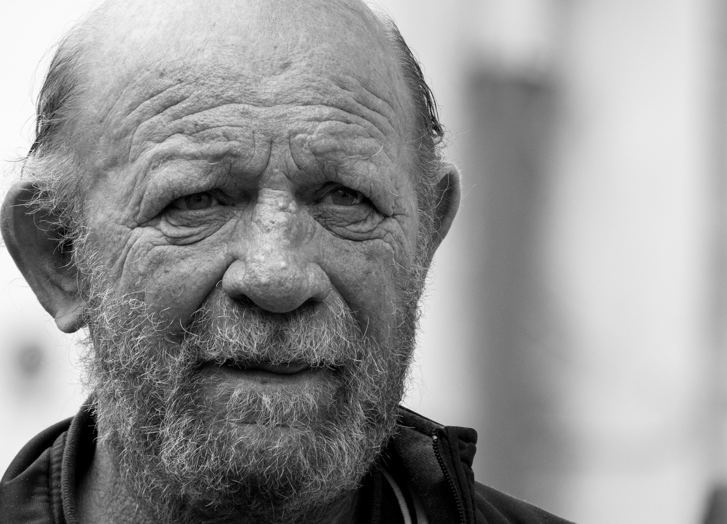 le breton Foto & Bild erwachsene menschen, wald, alt Bilder auf