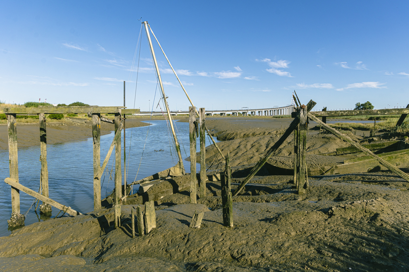 Le brivet à marée basse