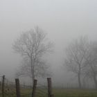 Le Brouillard