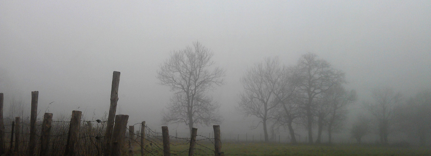 Le Brouillard