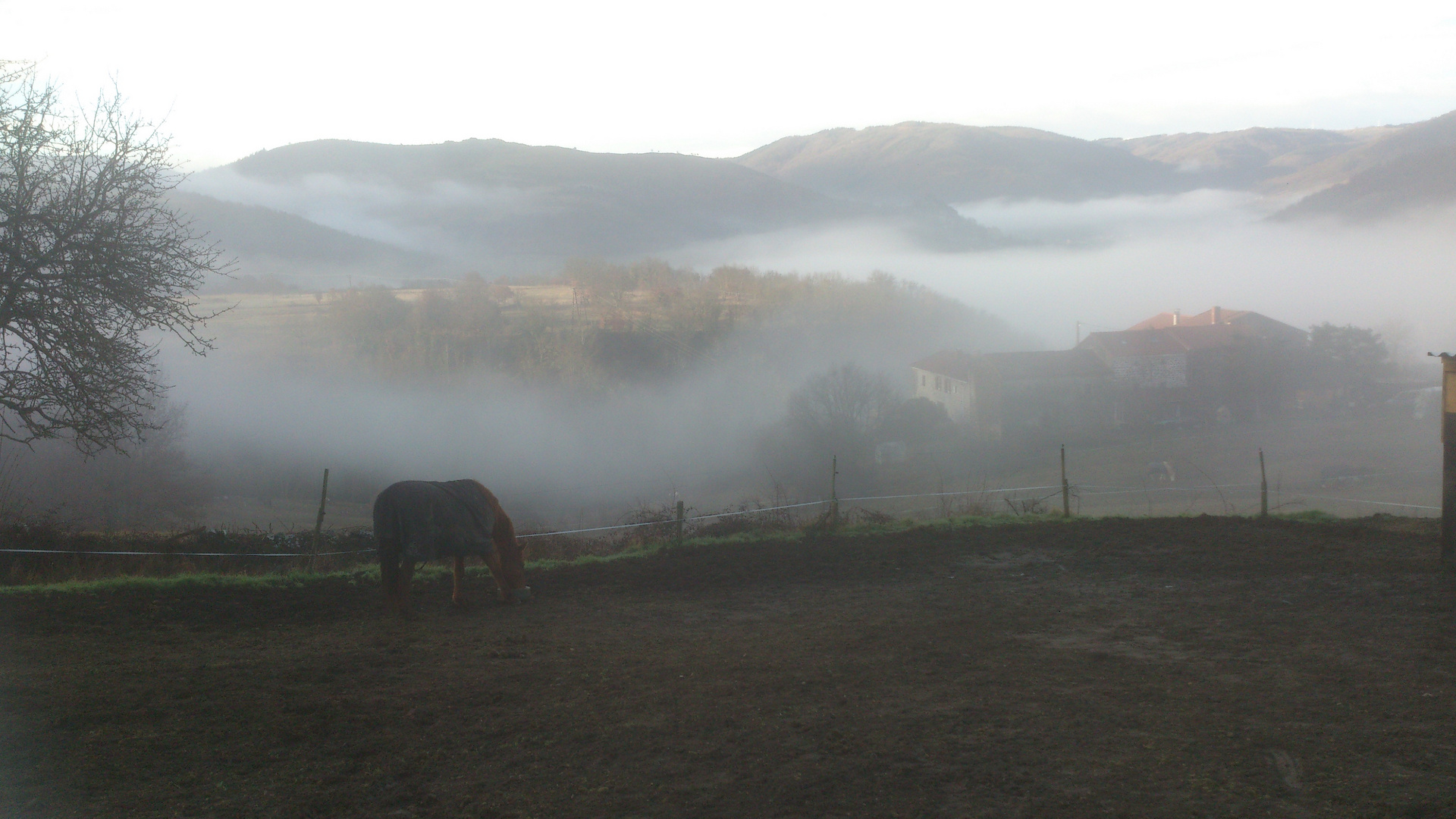 le brouillard dans la vallée