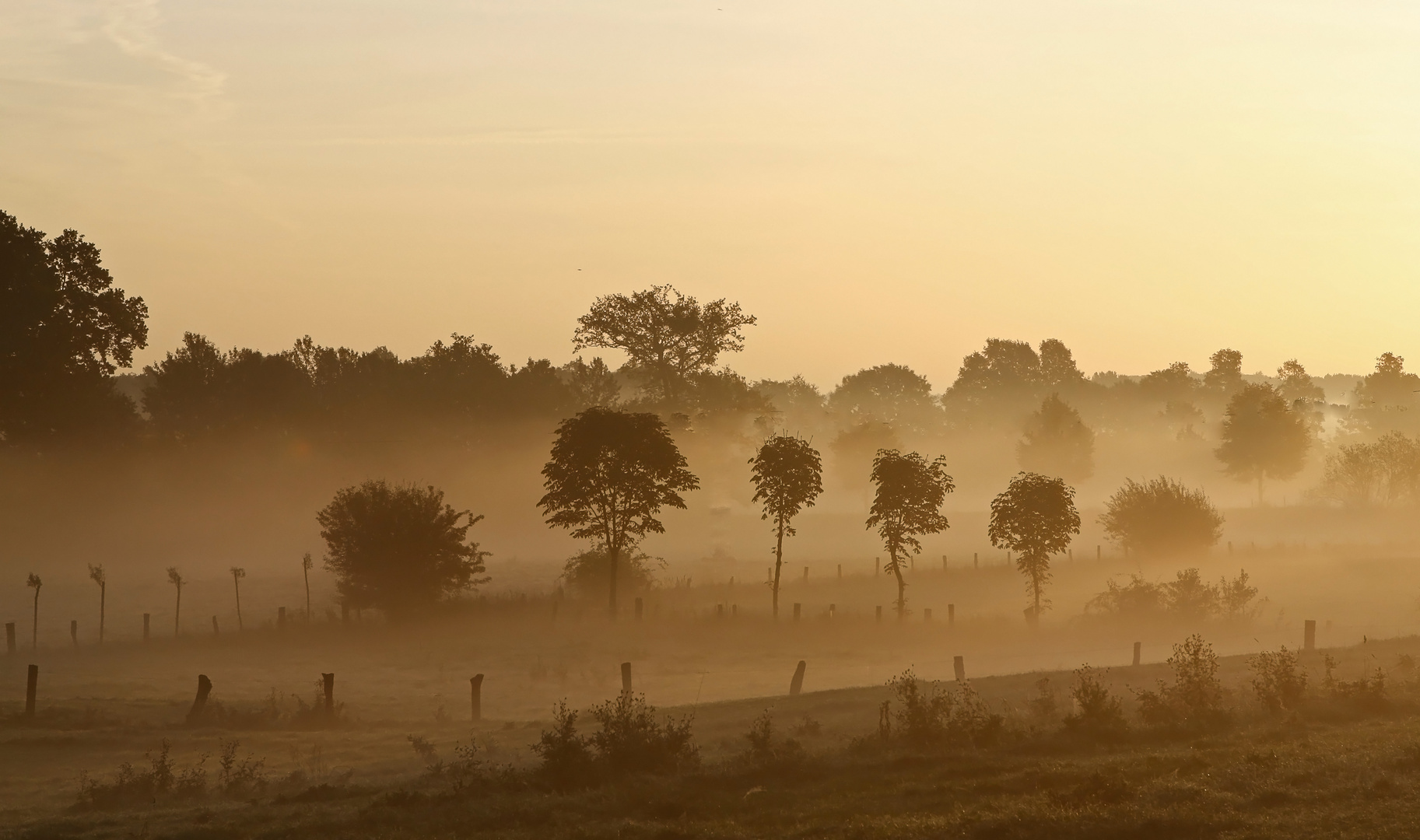 Le brouillard demain