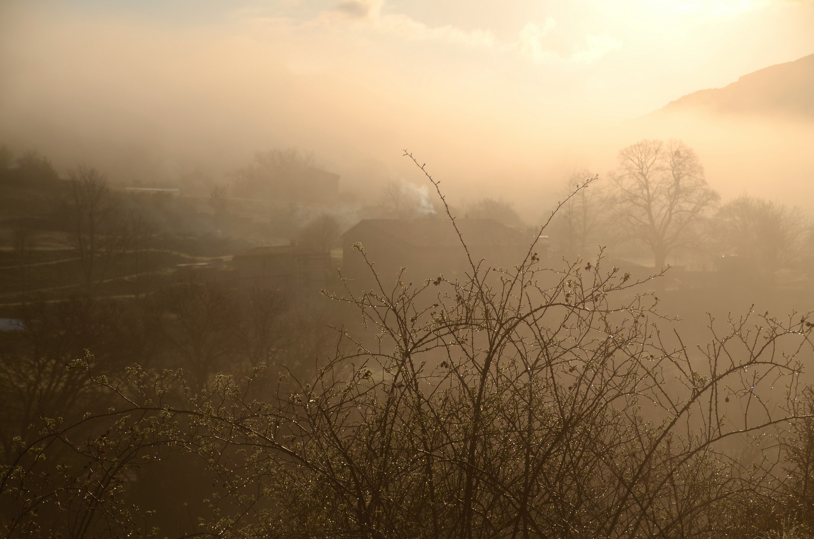 * Le brouillard d'une teinte rose,  a envahi la vallée *