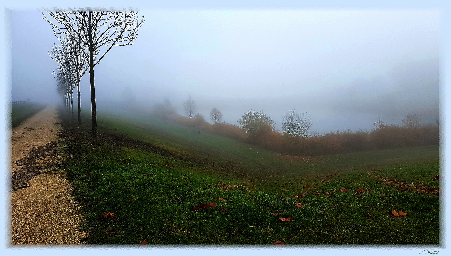 Le brouillard est la coquetterie du soleil