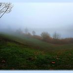 Le brouillard est la coquetterie du soleil