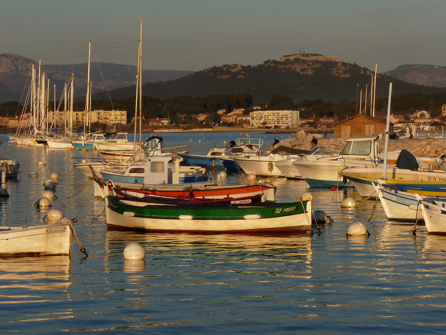 Le Brusc - Pointus - Le Fort du Brusc