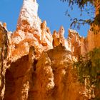 Le Bryce Canyon