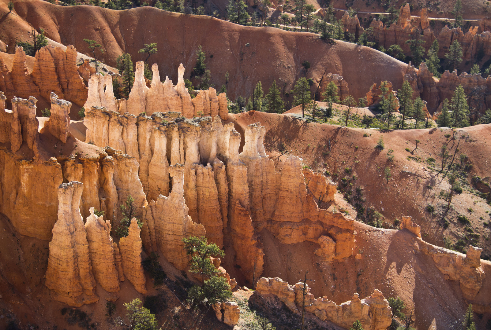 Le Bryce Canyon (utah)