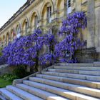 le bâtiment central du jardin public de Bordeaux