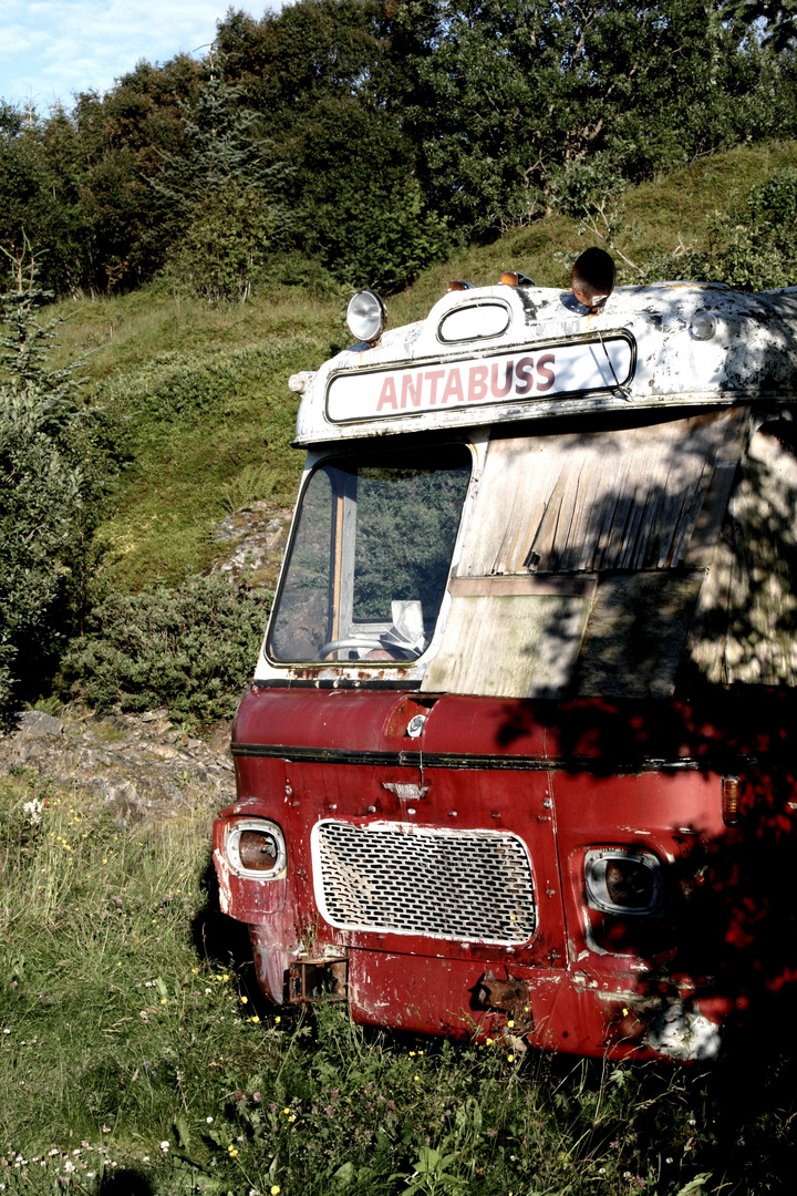 " Le bus magique "