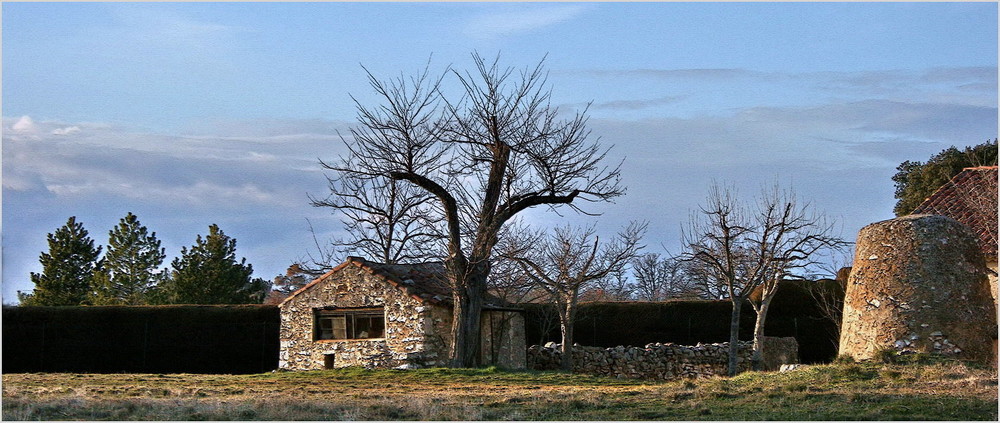 Le cabanon et le vieux puits