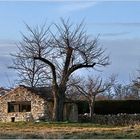 Le cabanon et le vieux puits