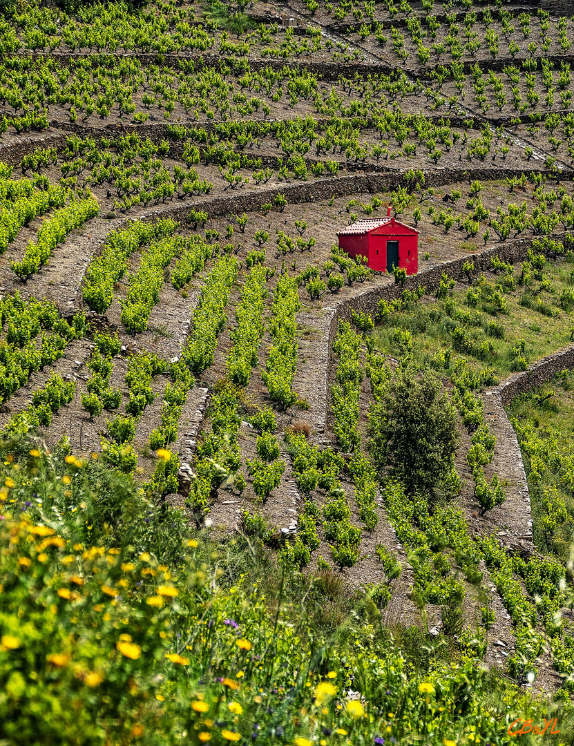 Le cabanon rouge 