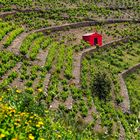 Le cabanon rouge 