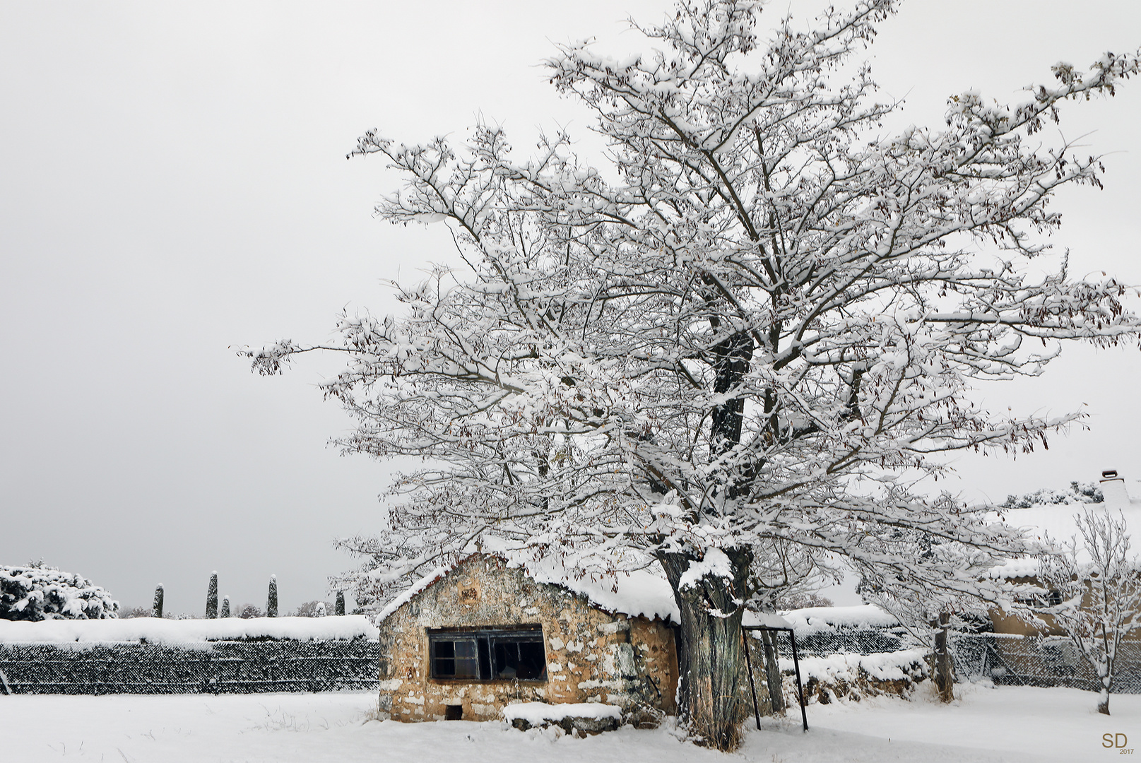 le cabanon sous la neige