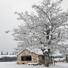 le cabanon sous la neige