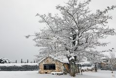 le cabanon sous la neige