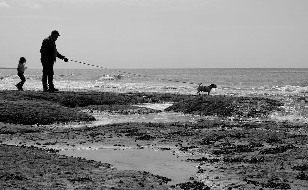 Le cabot qui aboyait après la mer