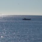 le calme... avant la tempête ?