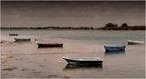 le calme..... avant la tempête von Odette LEFEBVRE