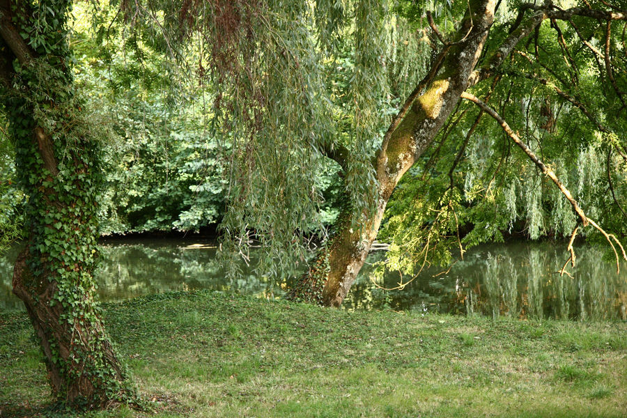 le calme de la campagne