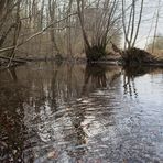 le calme de l'hiver