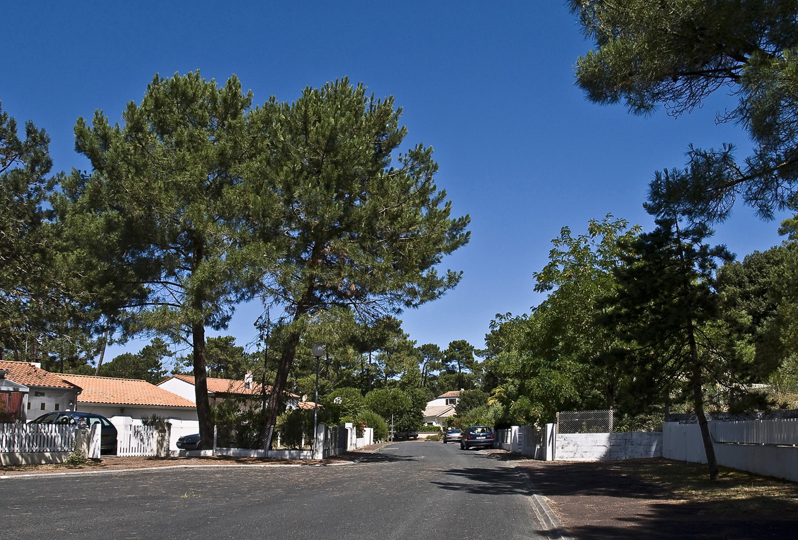 Le calme d’une des allées de Ronce-les-Bains  --  Eine ruhige Allee in Ronce-les-Bains