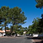 Le calme d’une des allées de Ronce-les-Bains  --  Eine ruhige Allee in Ronce-les-Bains