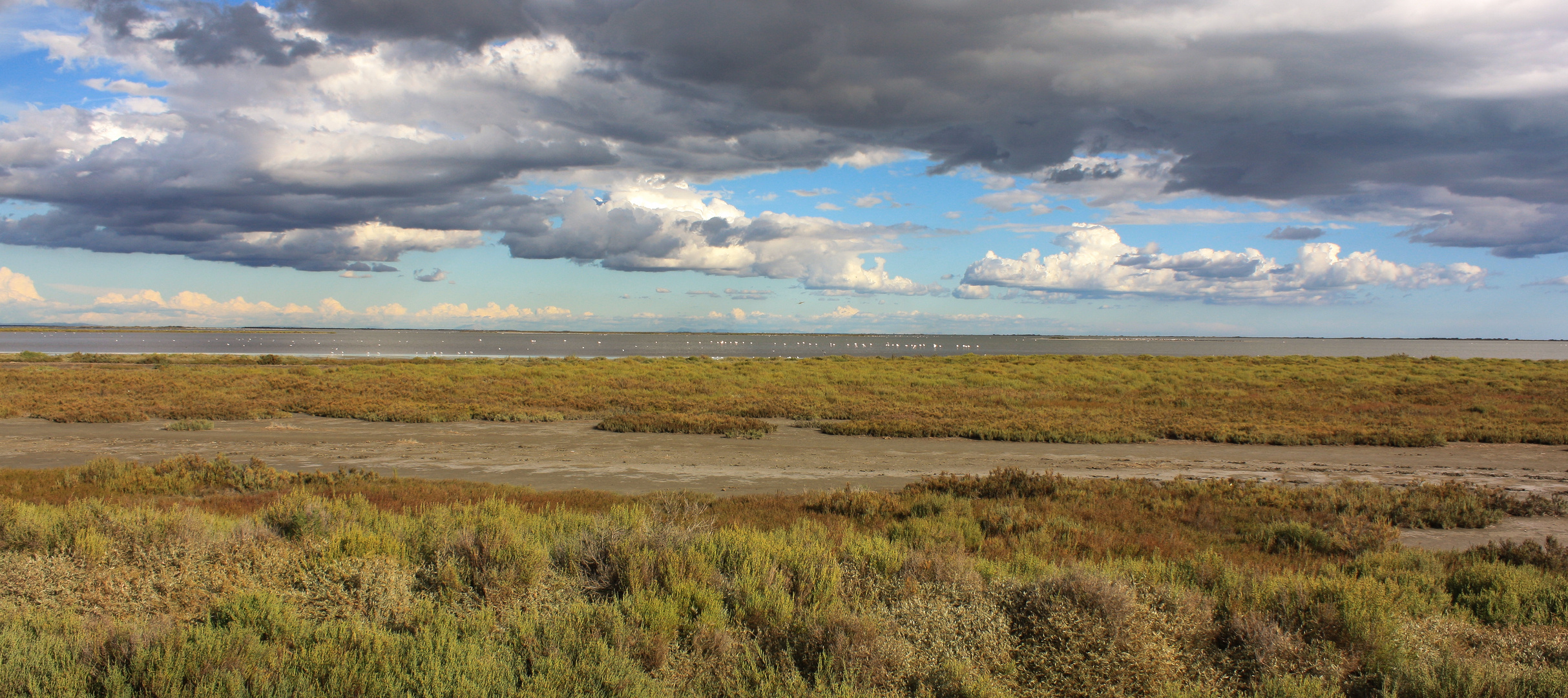 Le Camargue