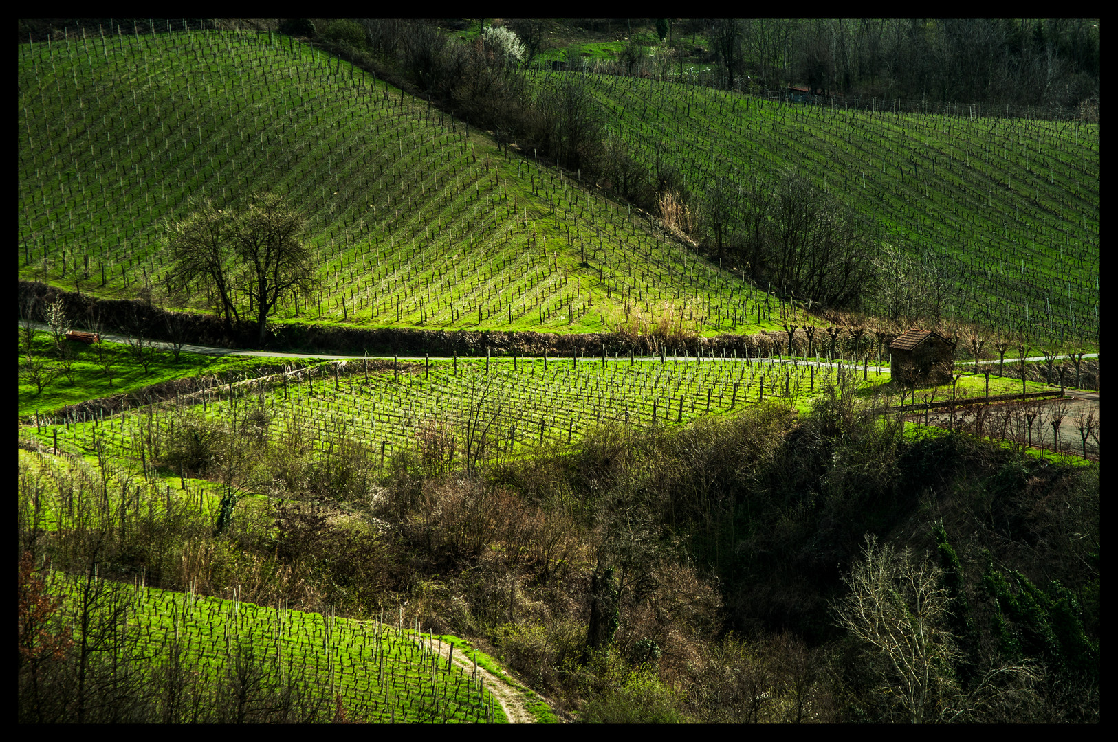 Le campagne di Ovrano