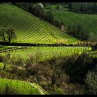 Le campagne di Ovrano