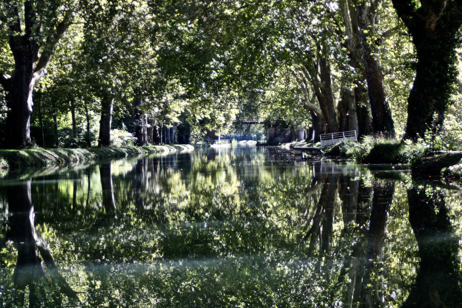 ... le Canal à Dole !!!...