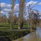 Le canal de la Baïse près de l’écluse de Gauge (Condom) en hiver