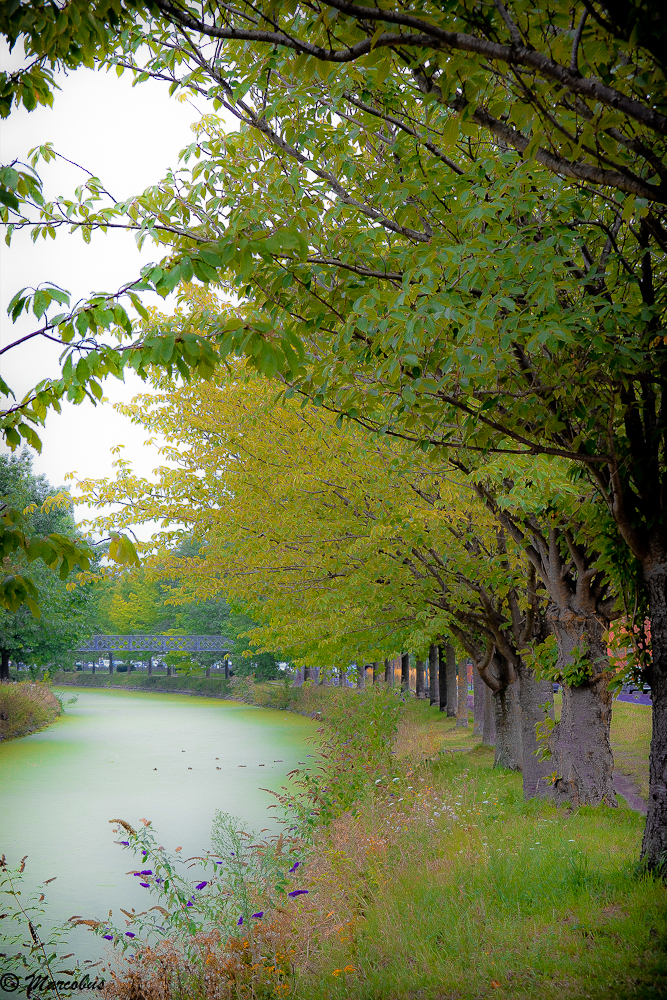 le canal de Roubaix