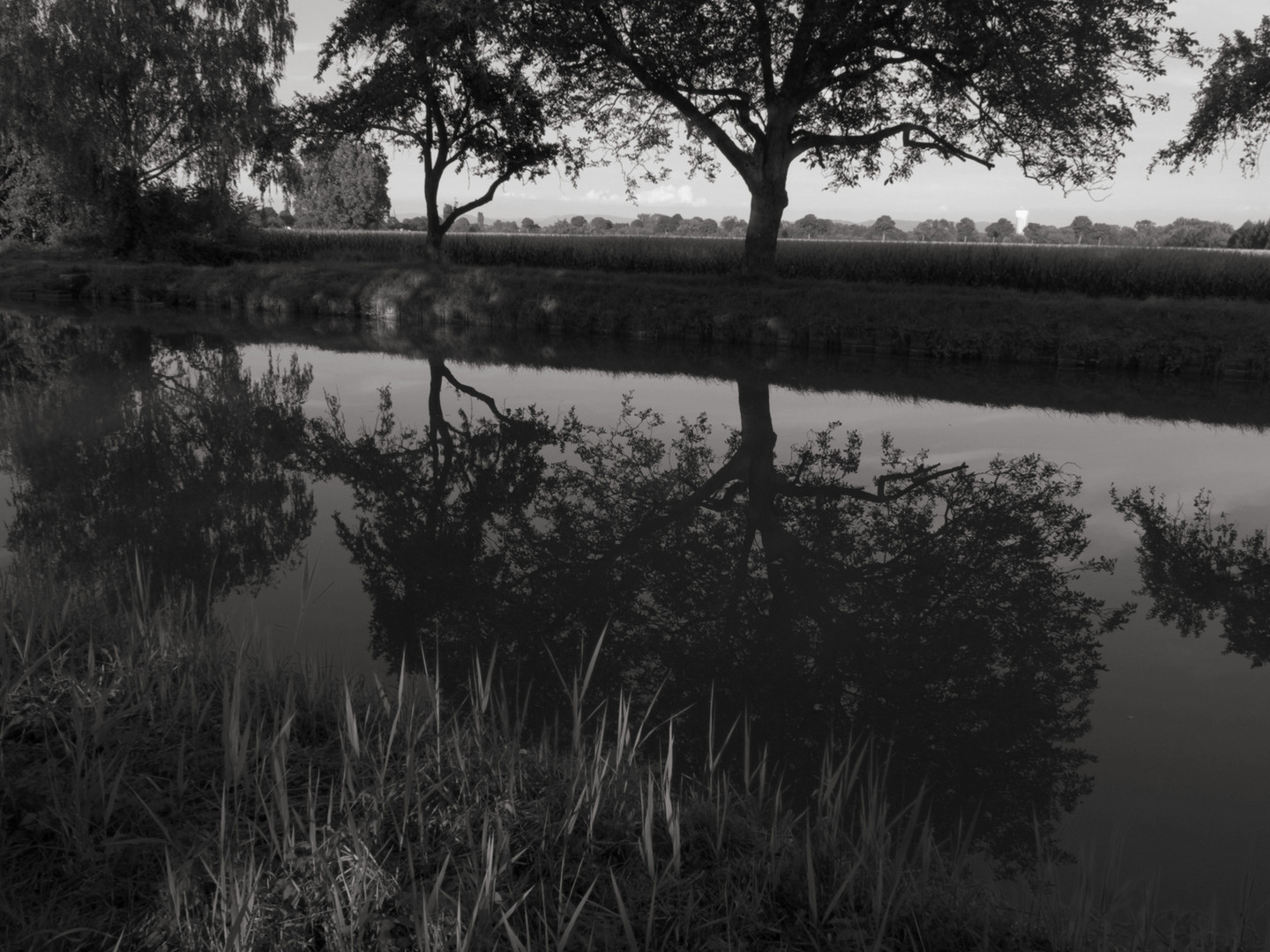 le canal du Rhône au Rhin