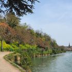 Le canal latéral de la Garonne à Agen