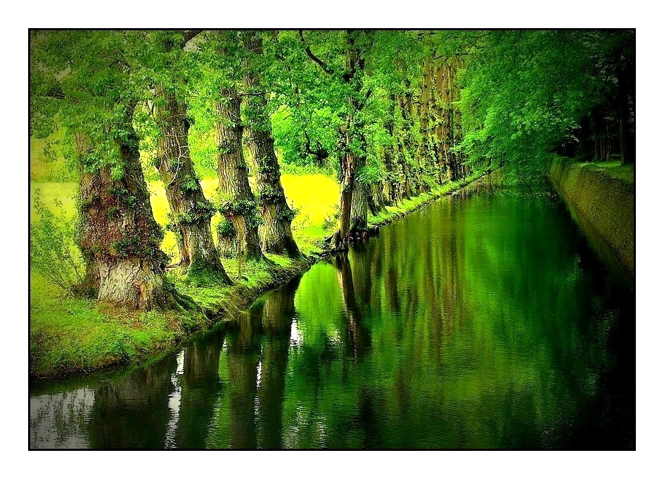 Le canal vert de Chenonceau