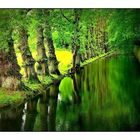 Le canal vert de Chenonceau