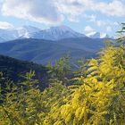 le canigou