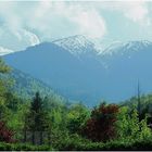 LE CANIGOU