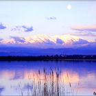 le canigou