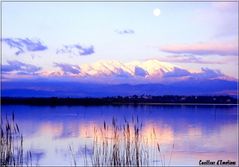 le canigou