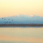 Le Canigou ...