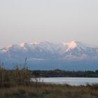 le Canigou