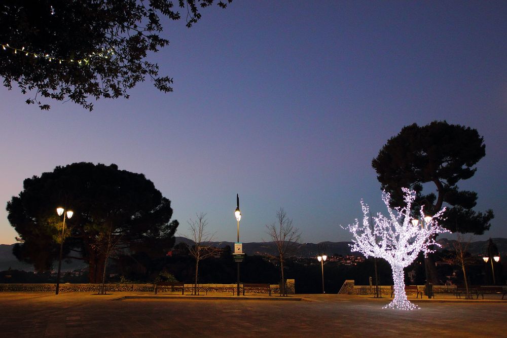 Le Cannet, Leuchtender Baum, Weihnachtsbaum,