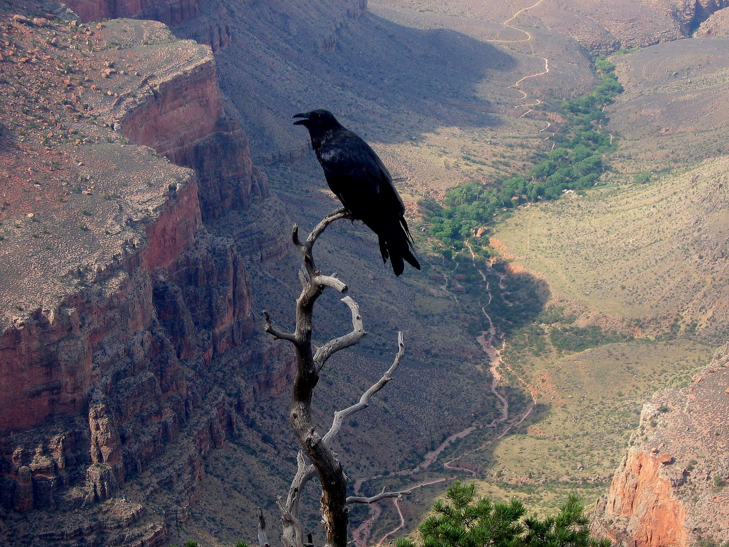 le canyon de la mort