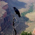 le canyon de la mort